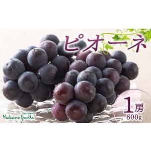 ふるさと納税 ≪2026年先行予約≫【仲野観光果樹園】贈答用 山形県産 種無し ぶどう ピオーネ 600g(1房) 秀品 2026年8月下旬から順次発送 F2Y-5817 山形県