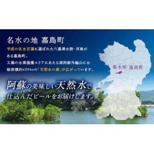 ふるさと納税 FK7-0116_【プレモル2種...の詳細画像2