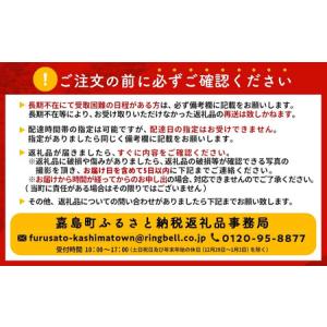 ふるさと納税 FK7-0116_【プレモル2種...の詳細画像4