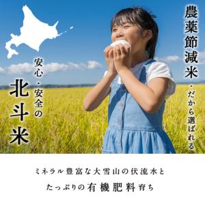 ふるさと納税 【定期便 12カ月】【令和7年産...の詳細画像1
