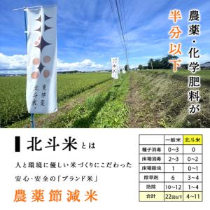 ふるさと納税 【定期便6カ月】【令和7年産】ゆ...の詳細画像2