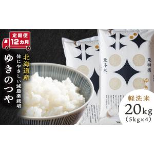 ふるさと納税 【定期便 12カ月】ゆきのつや 20kg お米 北海道米 北海道産お米 ふるさと納税米 道産米 米 こめ 北海道東神楽町