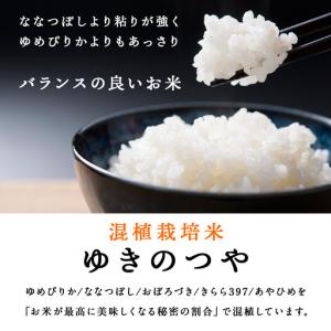 ふるさと納税 【定期便 12カ月】ゆきのつや ...の詳細画像3