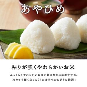 ふるさと納税 【定期便 12カ月】【令和7年産...の詳細画像3