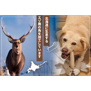 ふるさと納税 犬用「鹿の角(半割り)」Sサイズ...の詳細画像1