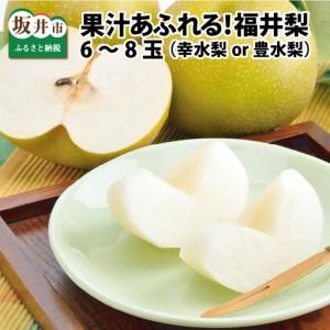 ふるさと納税 【先行予約】「福井梨」6〜8玉 シャキっとした食感♪ あふれ出す果汁！【幸水梨】【2026年8月下旬以降順次発送予定】【梨 なし 和.. 福井県坂井市