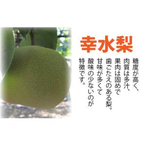ふるさと納税 【先行予約】「福井梨」6〜8玉 ...の詳細画像2