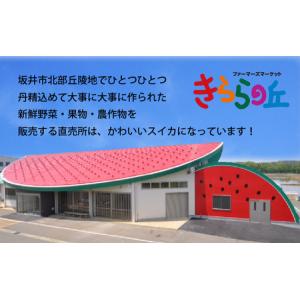 ふるさと納税 【先行予約】「福井梨」6〜8玉 ...の詳細画像3