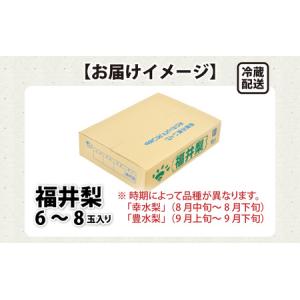 ふるさと納税 【先行予約】「福井梨」6〜8玉 ...の詳細画像4
