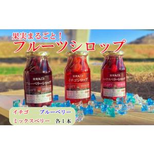ふるさと納税 丸ごと果実のフルーツシロップ詰合せ...の商品画像
