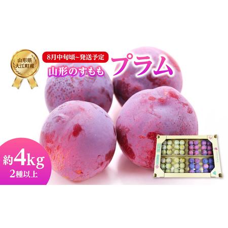 ふるさと納税 《先行受付》すもも（プラム）約4kg 2種以上【2025年8月中旬頃〜発送予定】【山形...