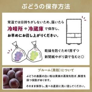 ふるさと納税 《先行受付》贈答規格 大粒ピオー...の詳細画像2