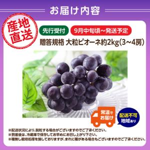 ふるさと納税 《先行受付》贈答規格 大粒ピオー...の詳細画像3