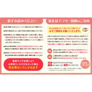 ふるさと納税 《先行受付》贈答規格 大粒ピオー...の詳細画像4