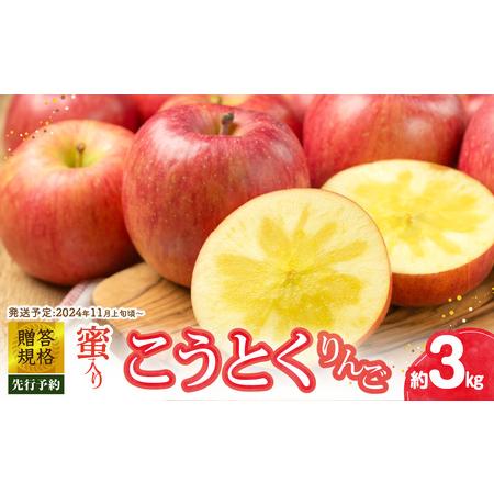 ふるさと納税 《先行予約》贈答規格 蜜入りこうとくりんご約3kg特秀〜秀【2024年11月上旬頃〜発...