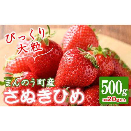 ふるさと納税 ＜期間限定！2024年3月下旬以降順次発送予定＞大粒！香川県産 さぬきひめいちご(約5...