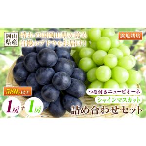 ふるさと納税 つる付きニューピオーネ1房&シャインマスカット1房【配送不可地域あり】 岡山県矢掛町