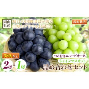 ふるさと納税 つる付き ニューピオーネ 2房 & シャインマスカット 1房 【配送不可地域あり】 岡山県矢掛町