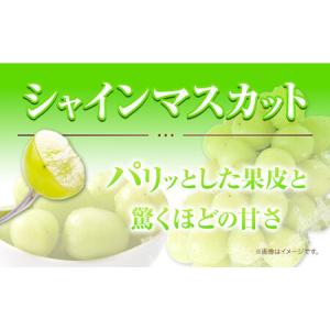 ふるさと納税 つる付き ニューピオーネ 2房 ...の詳細画像2