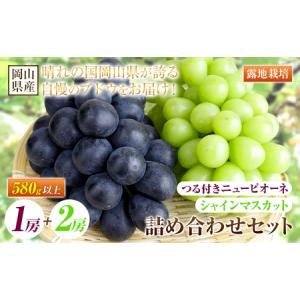 ふるさと納税 つる付き！ニューピオーネ 1房 & シャインマスカット 2房セット【配送不可地域あり】 岡山県矢掛町