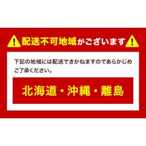 ふるさと納税 つる付き!ニューピオーネ 1房 ...の詳細画像4