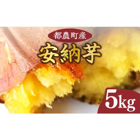 ふるさと納税 ≪先行予約≫都農町産安納芋(計5kg) 野菜 芋 イモ 国産_T016-001【さつま...