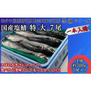 ふるさと納税 国産塩鯖 特大サイズ ７尾 約4kg 冷凍 銚...