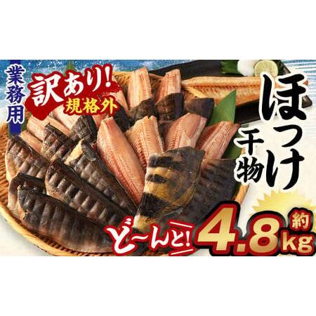 ふるさと納税 【訳あり規格外】  業務用 ほっけ干物  どーんと! 4.8kg 干物 ホッケ 縞ほっ...