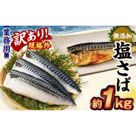 ふるさと納税 【訳あり規格外】 業務用 無添加 塩さば 1kg 鯖 さば 塩サバ 干物 魚 茨城県神...