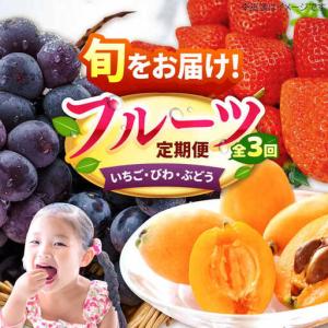 ふるさと納税 【先行予約2027年2月発送開始】【3回定期便】フルーツ定期便 (いちご/びわ/ぶどう) [AFAB008] フルーツ 福岡県広川町