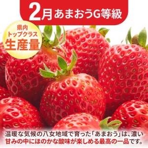 ふるさと納税 【先行予約2027年2月発送開始...の詳細画像2