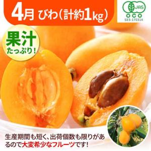 ふるさと納税 【先行予約2027年2月発送開始...の詳細画像3