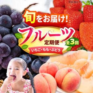 ふるさと納税 【★先行予約★ 2027年2月発送開始】【3回定期便】フルーツ定期便（いちご/もも/ぶどう） / イチゴ モモ ブドウ[AFAB010] 福岡県広川町