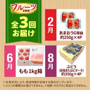 ふるさと納税 【★先行予約★ 2027年2月発...の詳細画像1