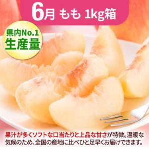 ふるさと納税 【★先行予約★ 2027年2月発...の詳細画像3