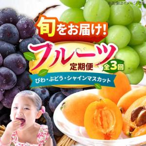 ふるさと納税 【先行予約2027年4月発送開始】【3回定期便】フルーツ定期便（びわ/ぶどう/シャインマスカット）果物 [AFAB025] 福岡県広川町