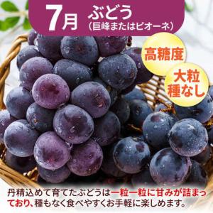 ふるさと納税 【先行予約2027年4月発送開始...の詳細画像3