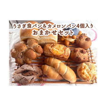 ふるさと納税 うさぎ食パン＆カメロンパン4個入り おまかせセット 神奈川県綾瀬市
