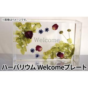 ふるさと納税 ハーバリウム Welcomeプレート　インテリア ハンドメイド 雑貨 小物 手作業 世界に一つ ハンドメイド作品 かわいい 贈り物 置物 静岡県島田市