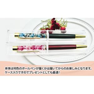 ふるさと納税 ハーバリウム ボールペン2本セッ...の詳細画像2