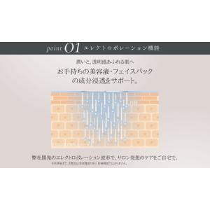 ふるさと納税 自宅で手軽にフェイス&スカルプケ...の詳細画像4