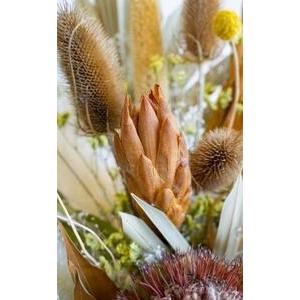 ふるさと納税 【花瓶アレンジ】ドライフラワーブ...の詳細画像2