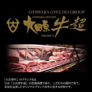 ふるさと納税 大田原牛 極上ロース ステーキ ...の詳細画像1