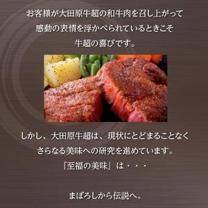 ふるさと納税 大田原牛 極上ロース ステーキ ...の詳細画像3