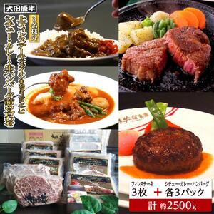 ふるさと納税 【3名様分】 大田原牛 上フィレ ...の商品画像
