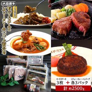 ふるさと納税 【3名様分】 大田原牛 特上ロース ステーキ 3枚とシチュー・カレー・生ハンバーグ各3パックの詰め合わせ | ブランド牛 和牛 牛肉.. 栃木県大田原市