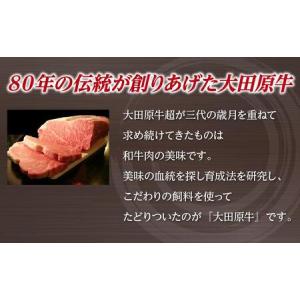 ふるさと納税 【3名様分】 大田原牛 特上ロー...の詳細画像2