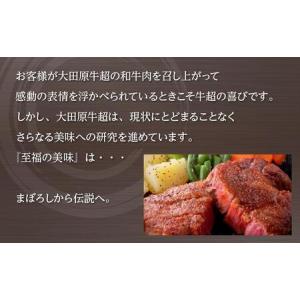 ふるさと納税 【3名様分】 大田原牛 特上ロー...の詳細画像3