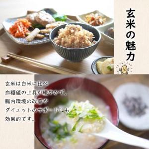 ふるさと納税 米 玄米 コシヒカリ 30kg ...の詳細画像1