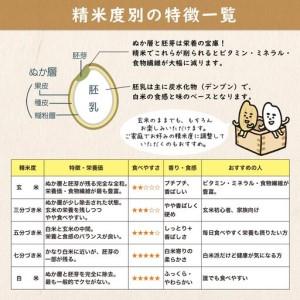 ふるさと納税 米 玄米 コシヒカリ 30kg ...の詳細画像2